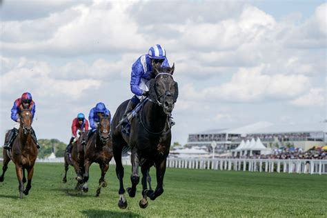 Prince Of Wales’s Stakes Odds Comparison 2023 .